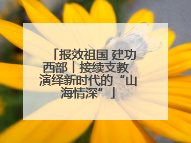 报效祖国 建功西部丨接续支教 演绎新时代的“山海情深”