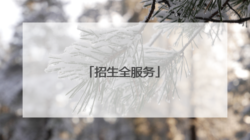 招生全服务