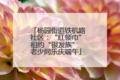 杨园街道铁机路社区：“红领巾”相约“银发族” 老少同乐庆端午