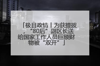 极目政情丨为获提拔，“80后”副区长送给国家工作人员巨额财物被“双开”