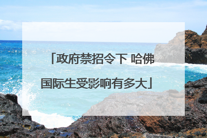 政府禁招令下 哈佛国际生受影响有多大