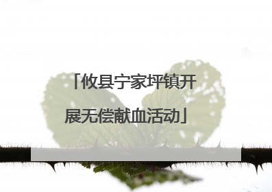 攸县宁家坪镇开展无偿献血活动