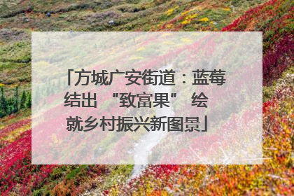 方城广安街道：蓝莓结出 “致富果” 绘就乡村振兴新图景