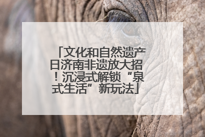 文化和自然遗产日济南非遗放大招！沉浸式解锁“泉式生活”新玩法