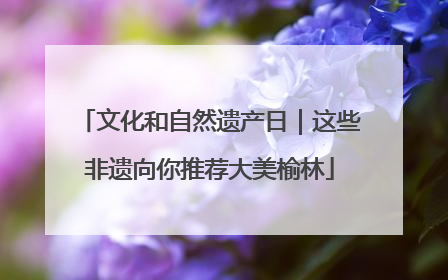 文化和自然遗产日｜这些非遗向你推荐大美榆林