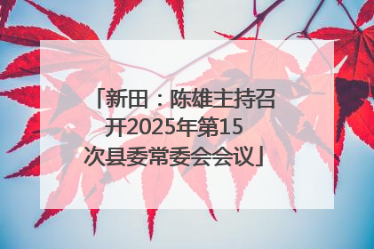 新田：陈雄主持召开2025年第15次县委常委会会议