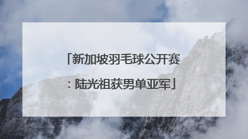 新加坡羽毛球公开赛：陆光祖获男单亚军