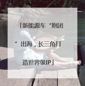 新能源车“抱团”出海，长三角打造世界级IP