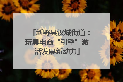 新野县汉城街道：玩具电商“引擎”激活发展新动力
