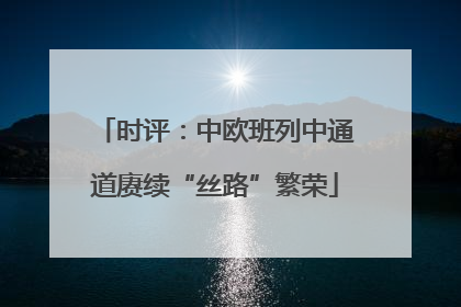 时评：中欧班列中通道赓续“丝路”繁荣
