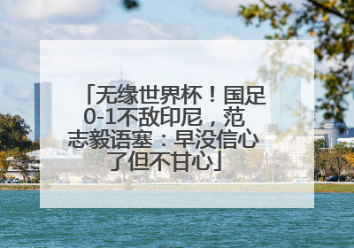 无缘世界杯！国足0-1不敌印尼，范志毅语塞：早没信心了但不甘心