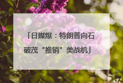 日媒爆：特朗普向石破茂“推销”美战机