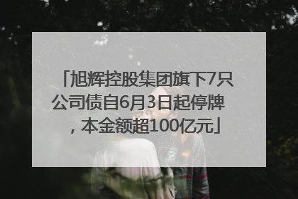 旭辉控股集团旗下7只公司债自6月3日起停牌，本金额超100亿元