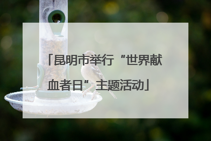 昆明市举行“世界献血者日”主题活动