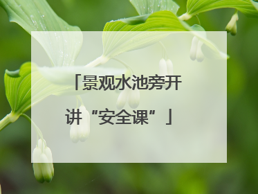 景观水池旁开讲“安全课”