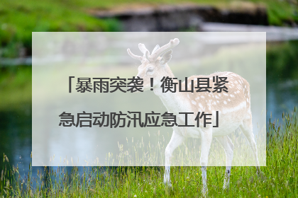 暴雨突袭！衡山县紧急启动防汛应急工作