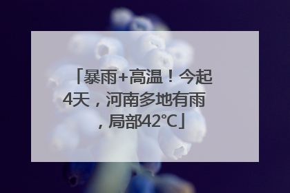 暴雨+高温！今起4天，河南多地有雨，局部42℃