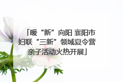 暖“新”向阳 襄阳市妇联“三新”领域夏令营亲子活动火热开展