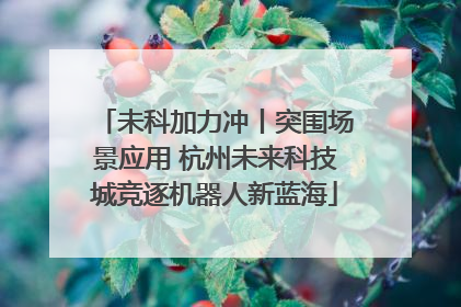 未科加力冲丨突围场景应用 杭州未来科技城竞逐机器人新蓝海