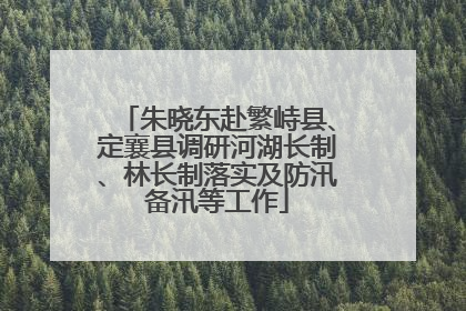 朱晓东赴繁峙县、定襄县调研河湖长制、林长制落实及防汛备汛等工作