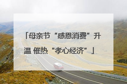母亲节“感恩消费”升温 催热“孝心经济”