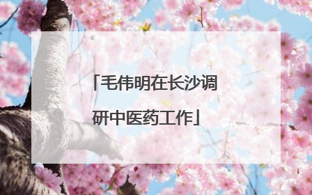毛伟明在长沙调研中医药工作
