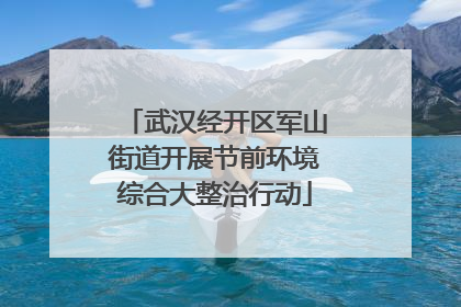 武汉经开区军山街道开展节前环境综合大整治行动