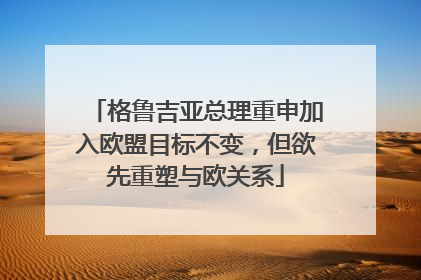 格鲁吉亚总理重申加入欧盟目标不变，但欲先重塑与欧关系