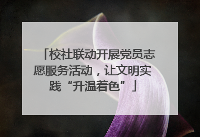 校社联动开展党员志愿服务活动，让文明实践“升温着色”