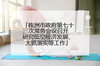株洲市政府第七十三次常务会议召开 研究低空经济发展、大抓落实等工作