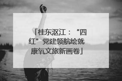 桂东沤江：“四红”党建领航绘就康氧文旅新画卷