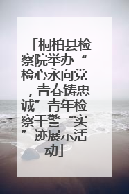 桐柏县检察院举办“检心永向党，青春铸忠诚”青年检察干警“实”迹展示活动