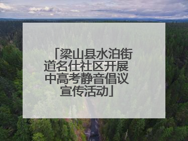 梁山县水泊街道名仕社区开展中高考静音倡议宣传活动
