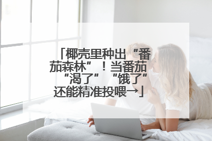 椰壳里种出“番茄森林”！当番茄“渴了”“饿了”还能精准投喂→