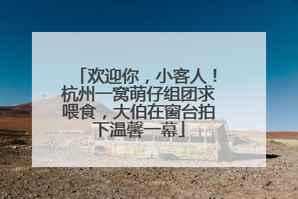 欢迎你，小客人！杭州一窝萌仔组团求喂食，大伯在窗台拍下温馨一幕