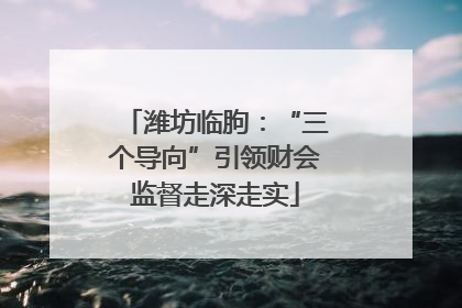 潍坊临朐：“三个导向”引领财会监督走深走实