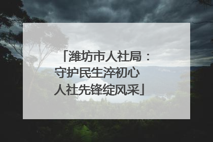 潍坊市人社局：守护民生淬初心 人社先锋绽风采