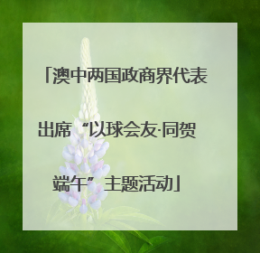 澳中两国政商界代表出席“以球会友·同贺端午”主题活动