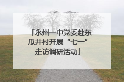 永州一中党委赴东瓜井村开展“七一”走访调研活动