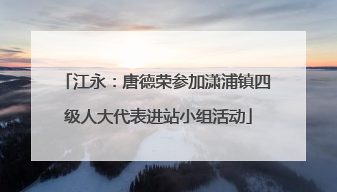 江永：唐德荣参加潇浦镇四级人大代表进站小组活动