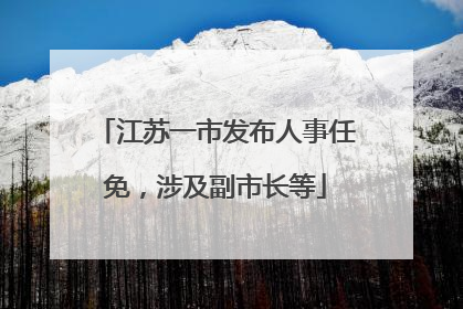 江苏一市发布人事任免，涉及副市长等