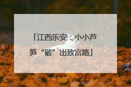 江西乐安：小小芦笋“破”出致富路