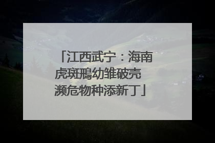 江西武宁：海南虎斑鳽幼雏破壳 濒危物种添新丁