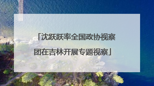 沈跃跃率全国政协视察团在吉林开展专题视察