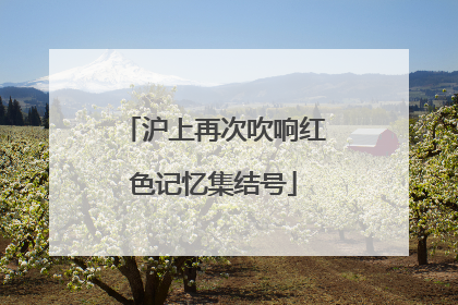 沪上再次吹响红色记忆集结号