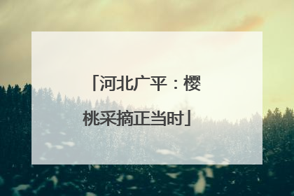 河北广平：樱桃采摘正当时