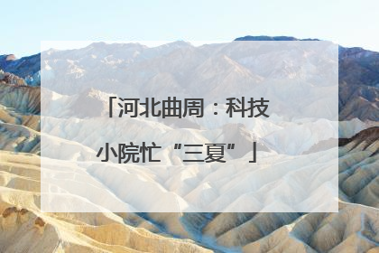 河北曲周：科技小院忙“三夏”