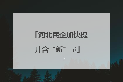河北民企加快提升含“新”量
