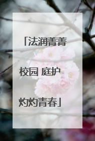 法润菁菁校园 庭护灼灼青春