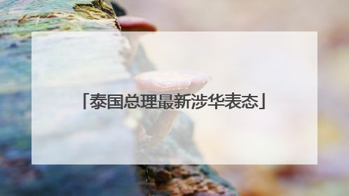 泰国总理最新涉华表态